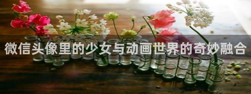 囧次元官方正版app